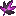 Admin Icon